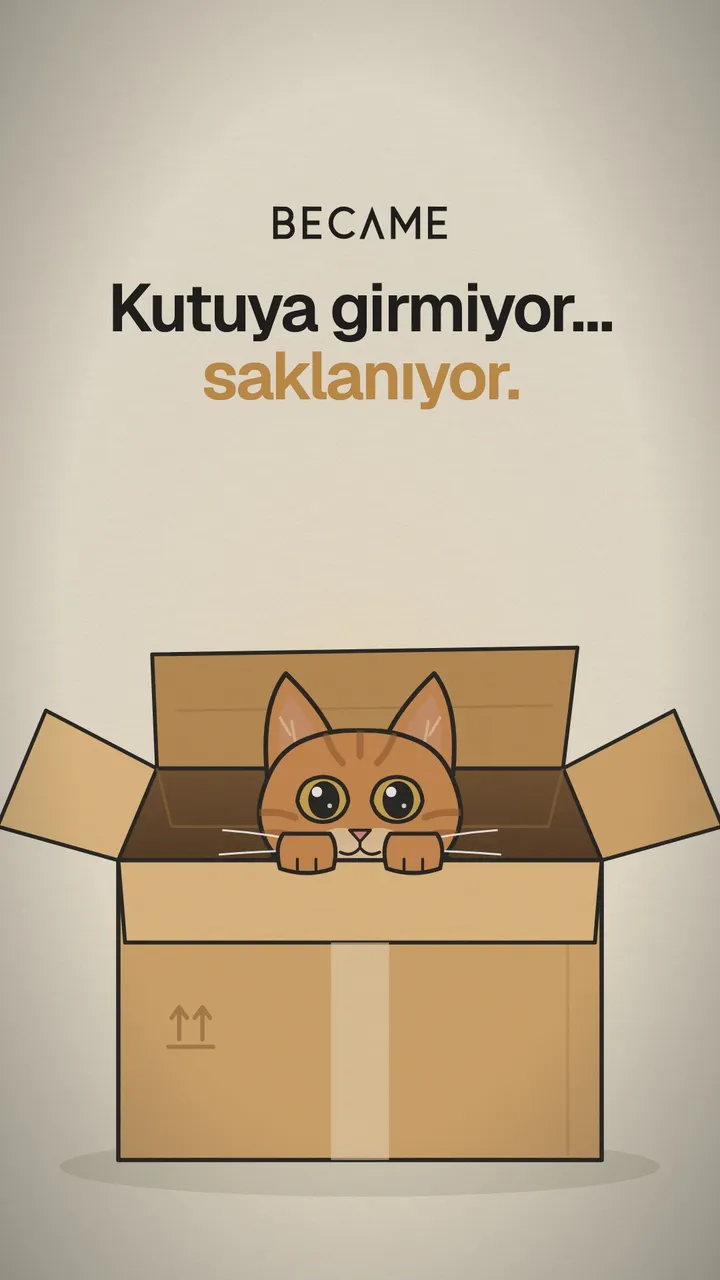 Açık bir karton kutunun içinden kafasını ve patilerini çıkarmış bakan turuncu bir kedi çizimi. Üstte “Kutuya girmiyor… saklanıyor.” yazıyor.