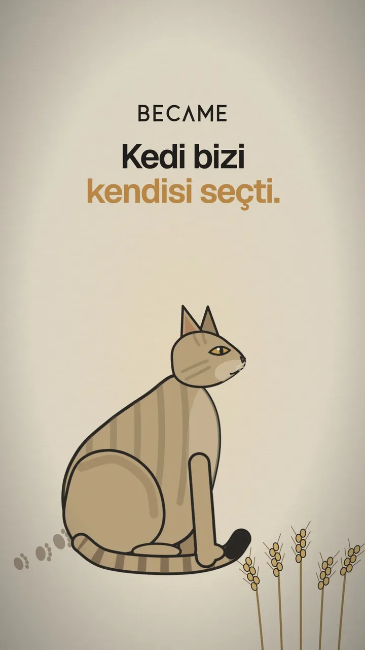Buğday başaklarının yanında oturan çizgili bir kedi çizimi. Üstte “Kedi bizi kendisi seçti.” yazıyor.