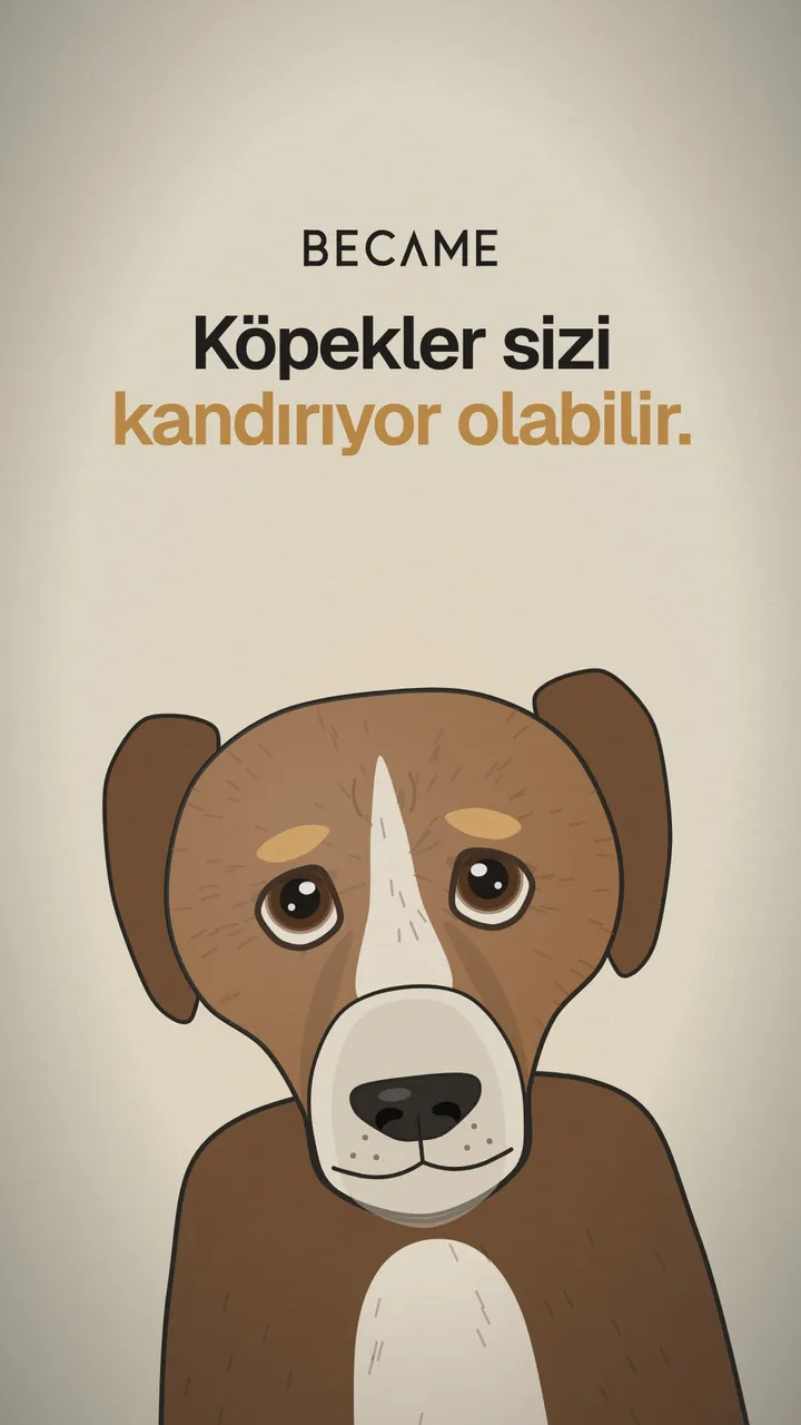 Kaşlarını hafifçe kaldırmış, iri kahverengi gözleriyle bakan bir köpek çizimi. Üstte “Köpekler sizi kandırıyor olabilir.” yazıyor.