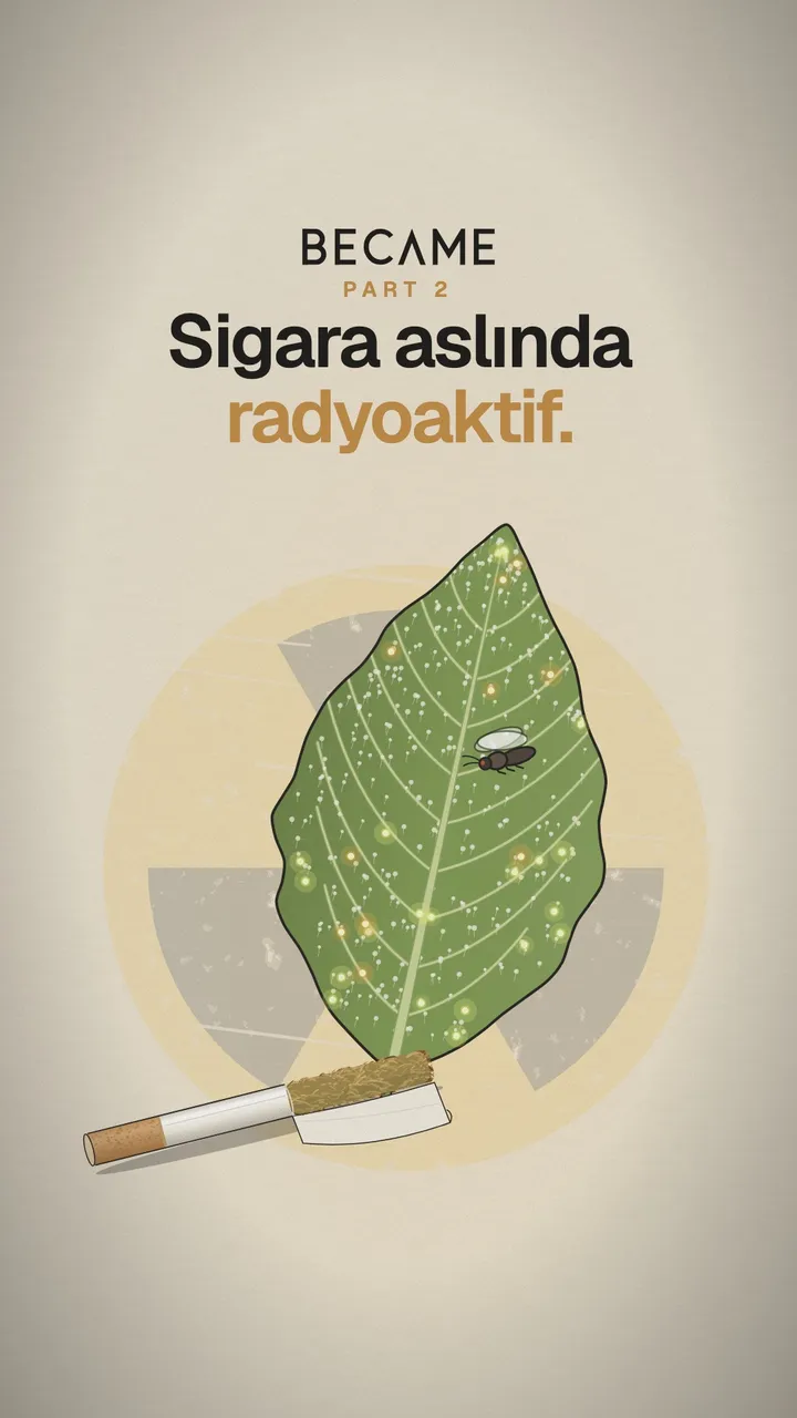 Üzerinde parlayan zerrecikler olan bir tütün yaprağı, yaprakta bir sinek ve önünde bir sigara; arkada soluk bir radyasyon işareti. Üstte “Sigara aslında radyoaktif.” yazıyor.