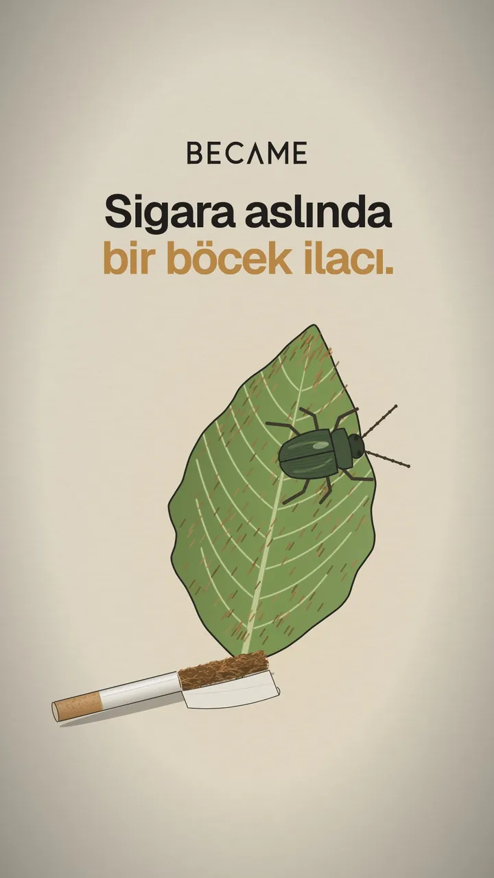 Bir tütün yaprağının üstünde yeşil bir böcek ve önünde yanmamış bir sigara çizimi. Üstte “Sigara aslında bir böcek ilacı.” yazıyor.